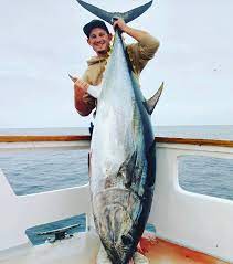 Tuna fish arent agressive, but they are clever and will. Bluefin Tuna Fish Reports Posts Facebook