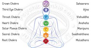 The 7 Chakras In The Human Body Receive And Radiate Life Force