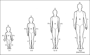 rules of nines chart rule of nines chart child lund and
