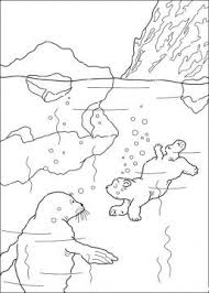 Little Polar Bear Jumps Into The Water Coloring Page Free Printable Coloring Pages Polar Bear Coloring Page Bear Coloring Pages Animal Coloring Pages