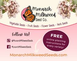 2900+ Kale Seeds 'red Russian'