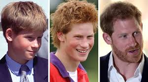 The prince of wales vs the prince of fargo #princeharry #carsonwentz #spotthedifference #lookalikes pic.twitter.com/uv6ts1xutw. Duke Of Sussex The Party Prince Who Carved His Own Path Bbc News