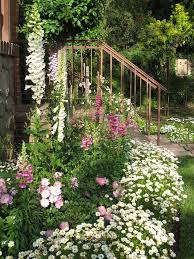 Majesticviewsaroundthegarden Cottage Garden Garden Inspiration Beautiful Gardens