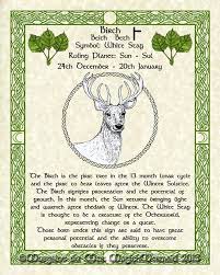 White Stag Birch Celtic Zodiac Sign Print Dec 24 Jan 20 Etsy In 2021 Celtic Zodiac Signs Celtic Zodiac Celtic Tree Astrology