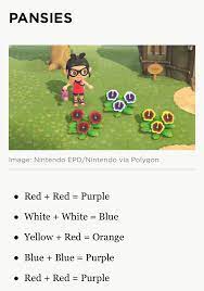 Pin By Kira On Animal Crossing Animal Crossing Pansies Flower Guide