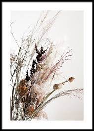 dried bouquet no2 poster poster kaufen lidl blumen blumenbilder