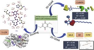 Qsar Modeling Of Benzoquinone Derivatives As 5 Lipoxygenase Inhibitors Sciencedirect