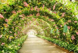 More than 3 million png and graphics resource at pngtree. Amazon Com Laeacco Wedding Photoshoot Backdrop 10x6 5ft Vinyl Fabulous Vibrant Floral Archway Passage Summer English Garden Scenic Gardening Background Wedding Photo Booth Bride Groom Shoot Studio Props Camera Photo