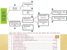 Nov 02, 2013 · diagram kunci determinasi tumbuhan 1b. Kunci Dikotom Tim Ppl Umm Created By Hendy