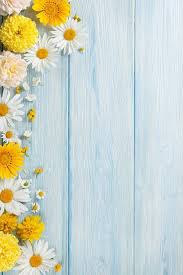 Garden Flowers Over Wooden Background Stock Photo Flower Wallpaper Beautiful Wallpapers Iphone Wallpaper