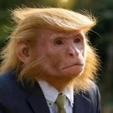 TRUMP SE PRONUNCIA POR NUEVO PONTÍFICE