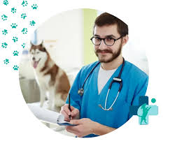 ▷ Las Mejores Veterinarias en Bronx del 2025 ヅ