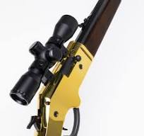 Barra Airguns | 1866 Multipump Gen 2 Gold | BB and Pellet ...