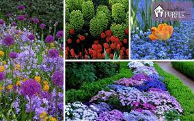 Simple Secrets For Creating Garden Color Schemes Colorful Garden Perennial Garden Plans Perennial Plants