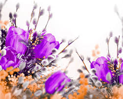 Check spelling or type a new query. Petals Tulips Violet Flowers Wallpapers Hd Desktop And Mobile Backgrounds