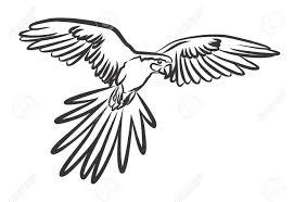Flying Parrot Drawing Images Parrot drawing easy pencil sketch. drawing expert blogger