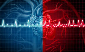 heart rates understanding a heart rate chart and what a