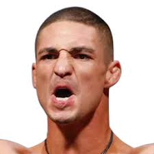 Diego Sanchez "Nightmare" Record: 30-14-0, Stats, and Past Fights
