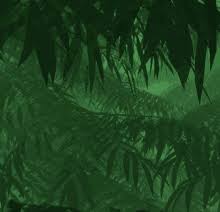 Check spelling or type a new query. Eating Leaves Gifs Tenor
