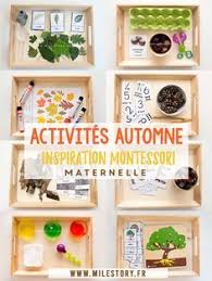 Ief Coschooling Livres Et Activites Sur Les Arbres Les Feuilles La Foret Activites Automne Maternelle Automne Maternelle Activite Manuelle Automne