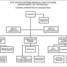 Johns Hopkins Medicine Organizational Structure