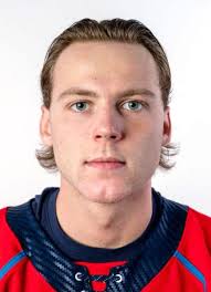 Player photos for the 2017-18 Ottawa 67's at hockeydb.com