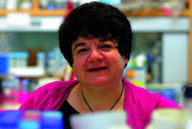 Researchers Discover First Gene Linked to Missing Spleen in Newborns