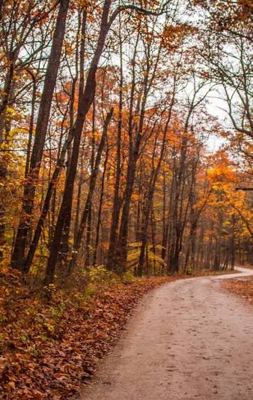 Fall In Bloomington, IN | Autumn Leaves, Things to Do & Events