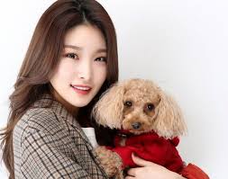 Chungha Poses With Her Pet Dog Bambi Poses Pets Pet Dogs