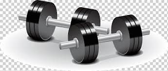 Equipamiento deportivo equipamiento gimnasio mancuernas pesas. Entrenamiento Con Pesas Con Mancuernas Ejercicio Fisico Con Pesas Olimpicas Representaciones Con Mancuernas Aptitud Fisica Feliz Cumpleanos Vector Imagenes Dibujos Animados Png Klipartz