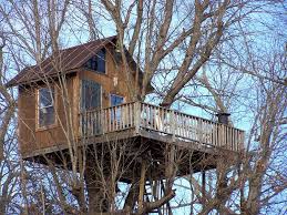 Maybe you would like to learn more about one of these? Treehouse Vineyards