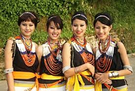 Image result for nagaland images