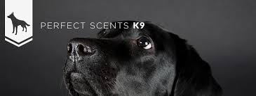 To help pets flourish and feel confident in their own fur. Perfect Scents K9 Boarding Training Home Facebook