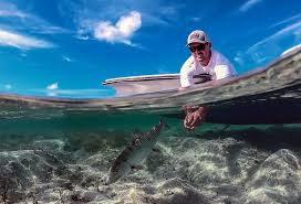 Travel Guides Archives - Western Air Bahamas