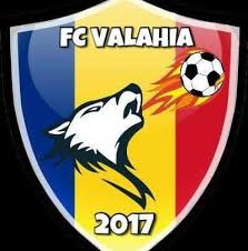 Prima echipa de fotbal infiintata in romania. Cum A Ajuns Fc Valahia Clubul De Fotbal Al Romanilor Din Viena In Prima LigÄƒ