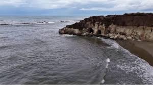 Trend Google: anzio