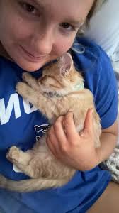 Should I Get A Cat in College