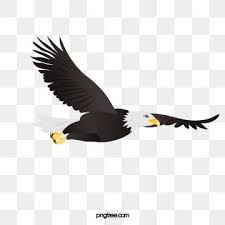  Eagles Png Vector Psd And Clipart With Transparent Background For Free Download Pngtree Clip Art Silhouette Illustration Eagle
