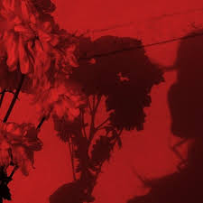 Последние твиты от red aesthetics (@redaestheticsco). Red Aesthetic Red And Aesthetics Image 6152949 On Favim Com