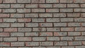 Туманный лес