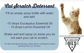 Pin On Doterra Oils