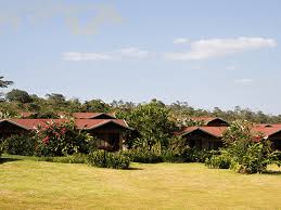Other amenities include a children's pool, dry cleaning, and laundry facilities. Arenal Volcano Inn 2costarica Travel