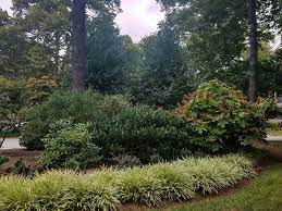 We did not find results for: Plants For Mixed Privacy Screens University Of Maryland Extension