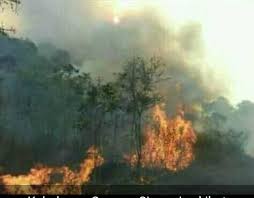 Setianegara adalah desa di kecamatan cilimus, kuningan, jawa barat, indonesia. Kebakaran Hutan Di Lereng Gunung Ciremai Di Tngc Desa Setianegara Kuningan Sidik Kasus