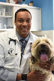 Maybe you would like to learn more about one of these? Arlington Animal Hospital Veterinarians And Staff