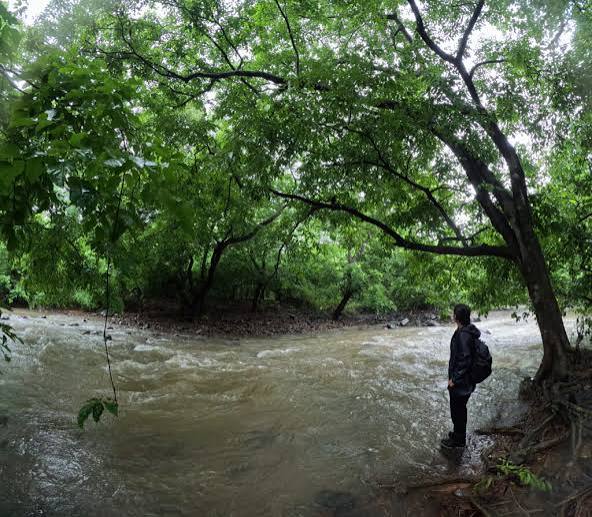 THE MOST POPULAR TRAIL IN SANJAY GANDHI NATIONAL PARK: SHILONDA - Roaming With Roads