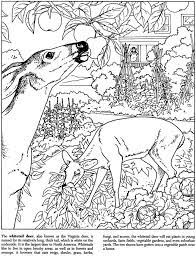 From the mouse to the elephant. Welcome To Dover Publications With Images Coloring Pages Nature Adult Coloring Pages Dover Coloring Pages