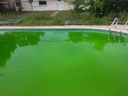 Pin On Pools