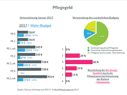 +zuschuss umbau pflegekasse bei paliativ patienten. Erste Trendaussagen Und 6 Tipps Meinpflegebudget De Fragte Nach