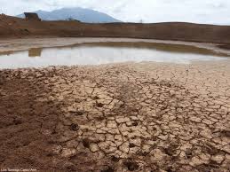 Es un aspecto esencial del cambio climático, demostrado por la medición directa de la temperatura y de varios efectos del calentamiento. Consecuencias Del Cambio Climatico 2019 Efectos A Nivel Global